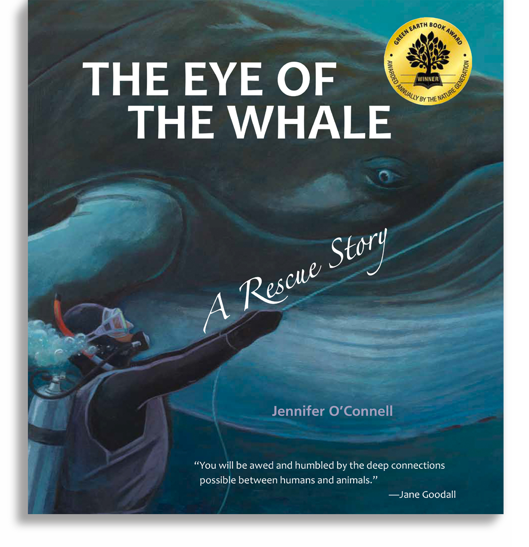 eye of whale cover