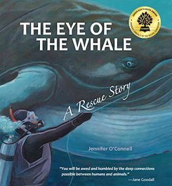 eye of whale cover seal